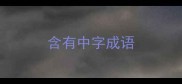 含有中字成语