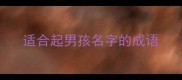 适合起男孩名字的成语