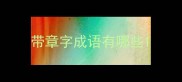 带章字成语有哪些