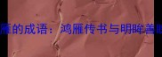 眼睛和大雁的成语鸿雁传书与明眸善睐的寓意