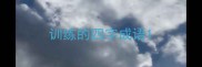 训练的四字成语