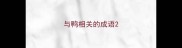 与鸭相关的成语