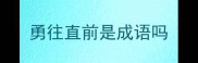 勇往直前是成语吗