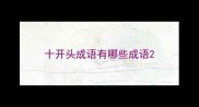 十开头成语有哪些成语