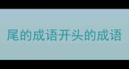 尾的成语开头的成语