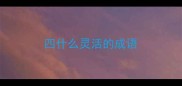 四什么灵活的成语