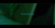 带无凭的成语