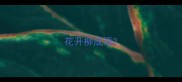 花开柳成语