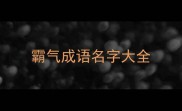 霸气成语名字大全
