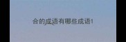 合的成语有哪些成语