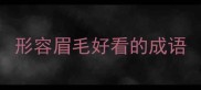 形容眉毛好看的成语