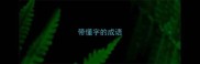 带懂字的成语