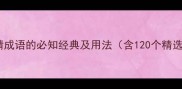 梅与爱情成语的必知经典及用法含120个精选案例