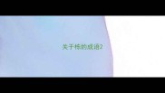 关于栋的成语