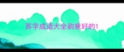 苏字成语大全韵意好的