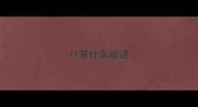11是什么成语