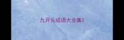 九开头成语大全集
