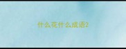 什么花什么成语