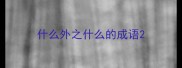 什么外之什么的成语