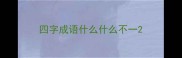 四字成语什么什么不一