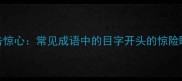 目击惊心常见成语中的目字开头的惊险瞬间