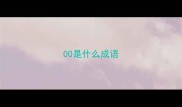 00是什么成语
