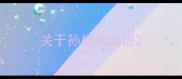 关于孙权的成语