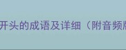 弟字开头的成语及详细附音频版