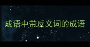 成语中带反义词的成语