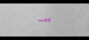 bao成语