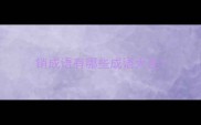 销成语有哪些成语大全