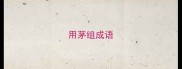 用茅组成语
