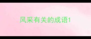 风采有关的成语