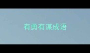 有勇有谋成语