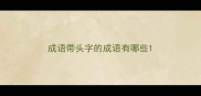 成语带头字的成语有哪些