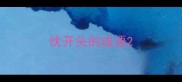 忱开头的成语