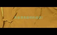 形容漂亮聪明的成语