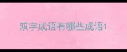双字成语有哪些成语
