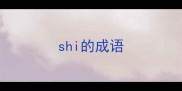 shi的成语