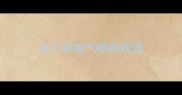 关于英雄气概的成语