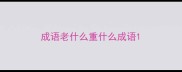 成语老什么重什么成语