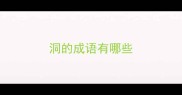 洞的成语有哪些