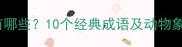 杀什么动物的成语有哪些10个经典成语及动物象征附应用场景