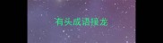 有头成语接龙