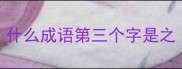 什么成语第三个字是之