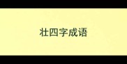 壮四字成语