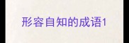 形容自知的成语