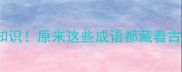 探秘100个成语背后的冷知识原来这些成语都藏着古代智慧附超实用记忆法