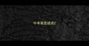 中考易混成语