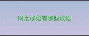 同足成语有哪些成语